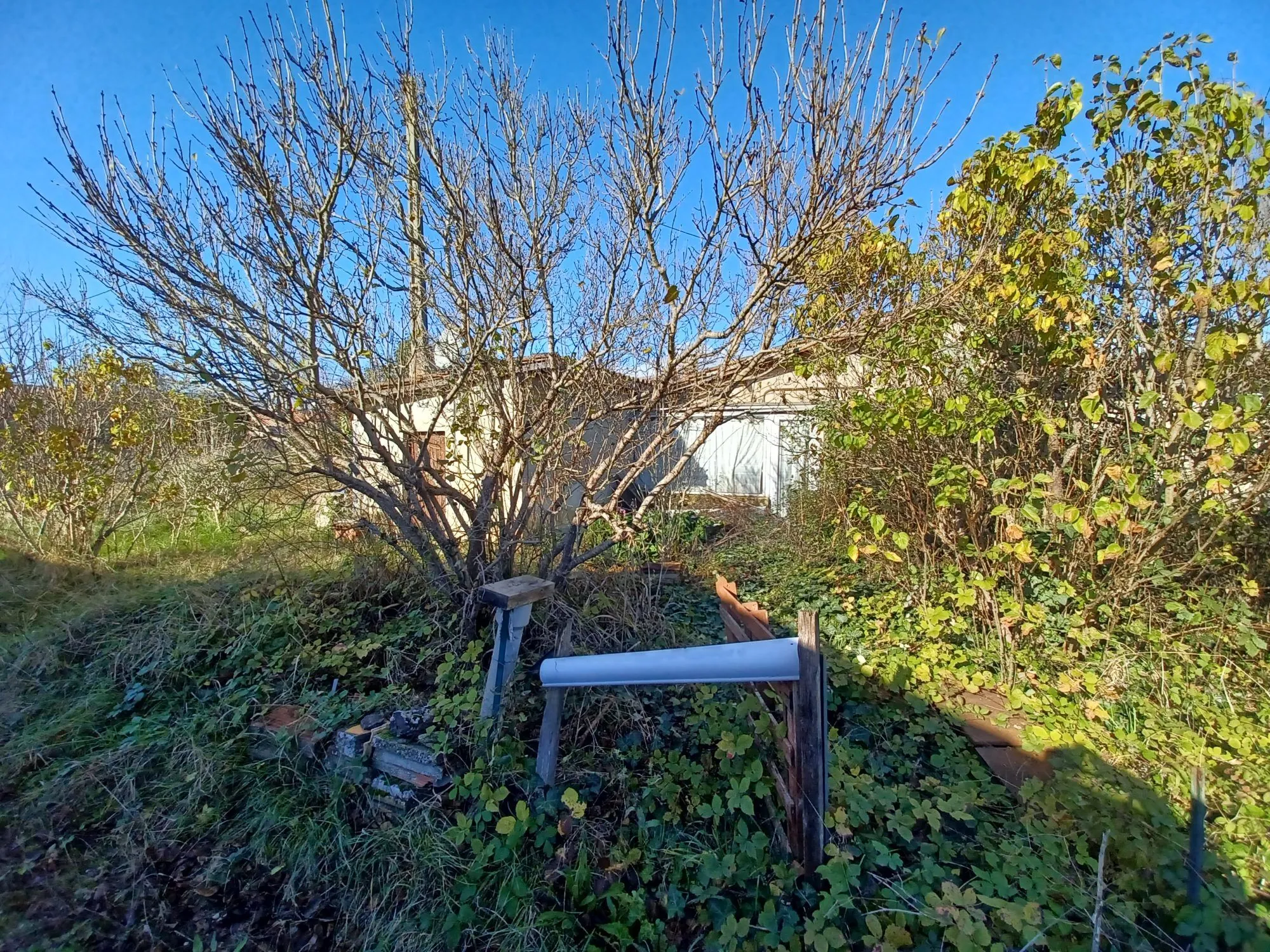 Terrain à bâtir de 1275 m² à Gaillac, proximité écoles et commodités 