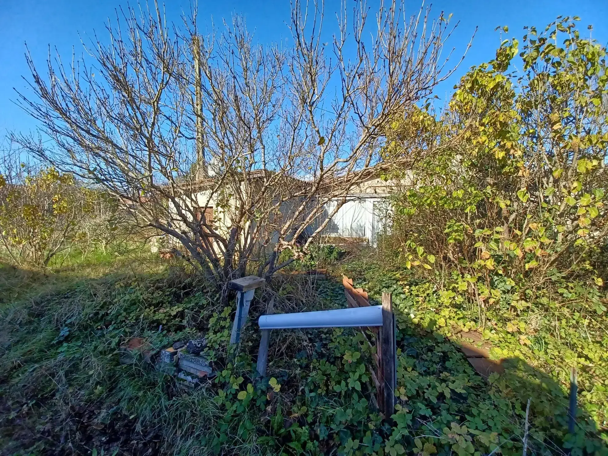 Terrain constructible de 1275 m² à Gaillac proche centre-ville 