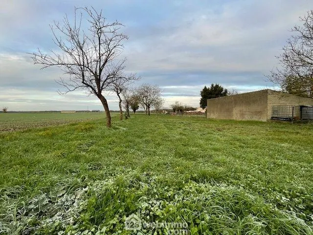 Terrain constructible de 1589 m² à Liniers - Cadre paisible et champ agricole 
