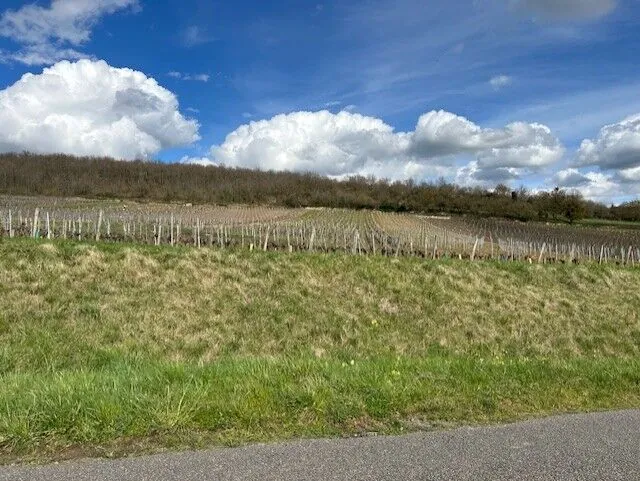 Construction maison neuve à Berzé-la-Ville, vue vignobles, terrain 600 m², livraison 2025 