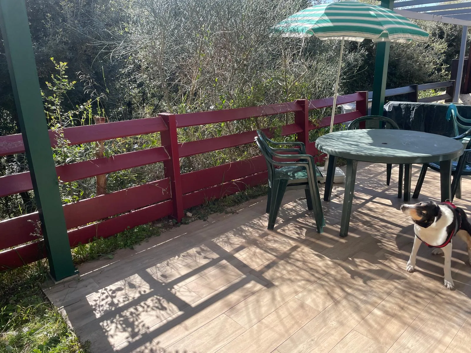 Charmante maison 3 pièces à Vallauris avec jardin, piscine et stationnement sécurisé 