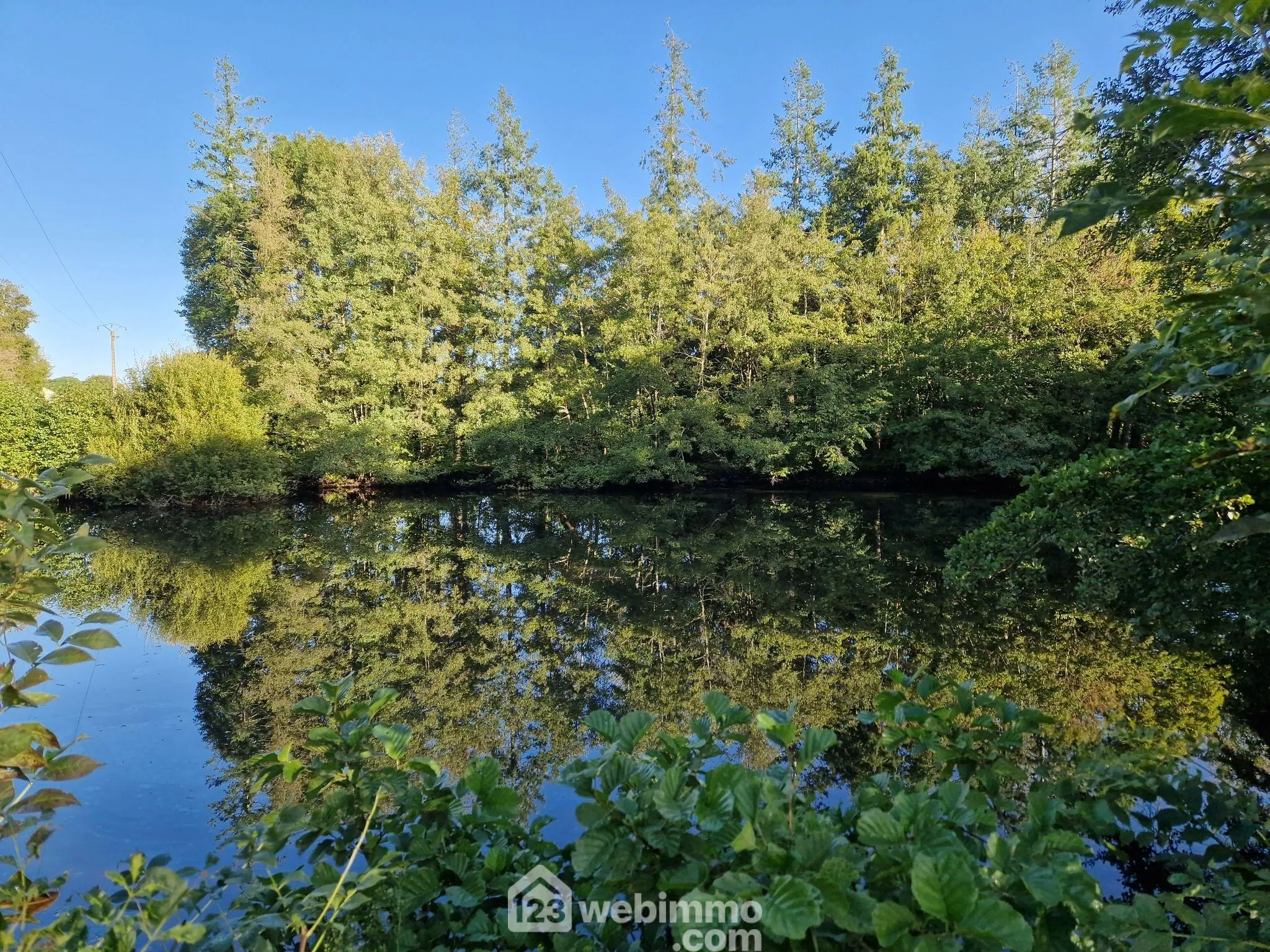 Beau terrain de loisirs avec étang à Nieul-le-Dolent, paisible environnement naturel