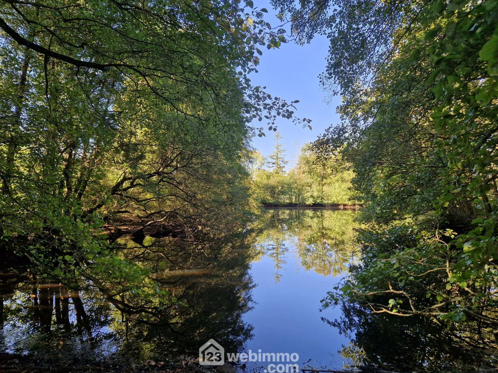 Beau terrain de loisirs avec étang à Nieul-le-Dolent, paisible environnement naturel 
