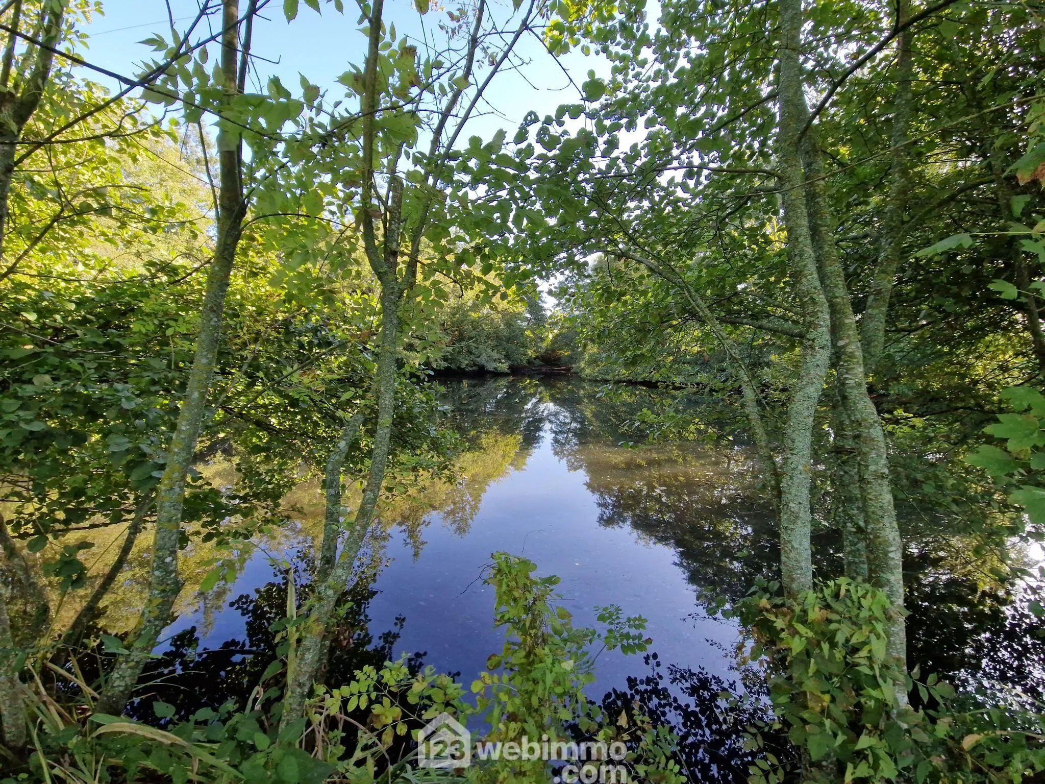 Beau terrain de loisirs avec étang à Nieul-le-Dolent, paisible environnement naturel 