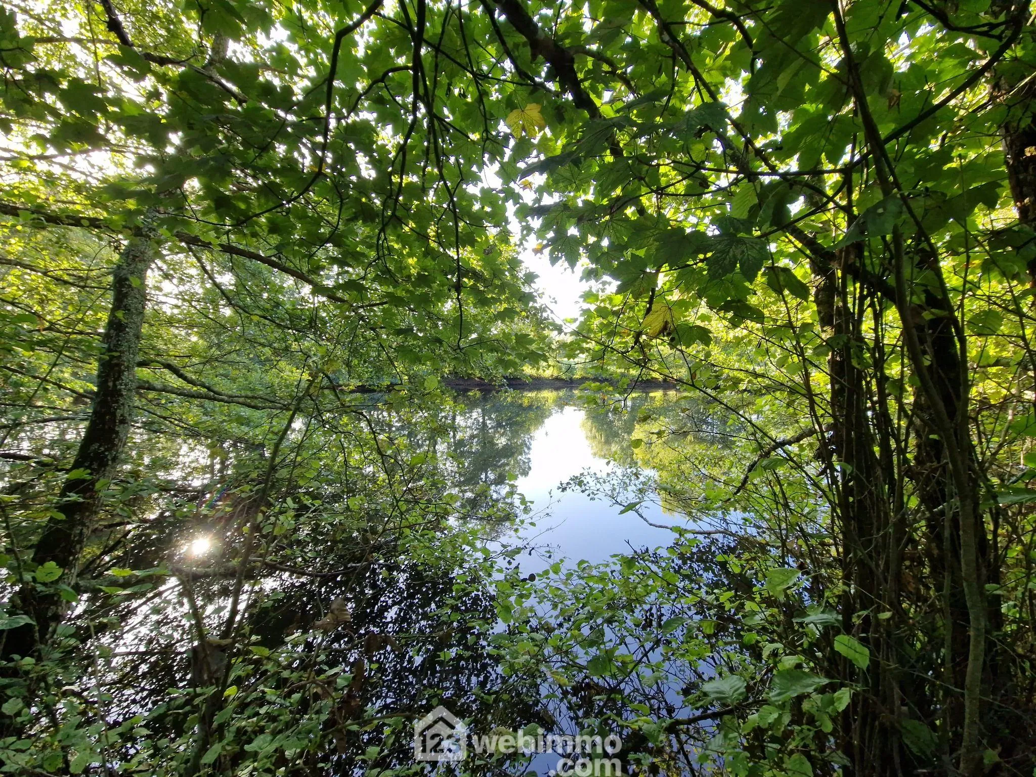 Beau terrain de loisirs avec étang à Nieul-le-Dolent, paisible environnement naturel 