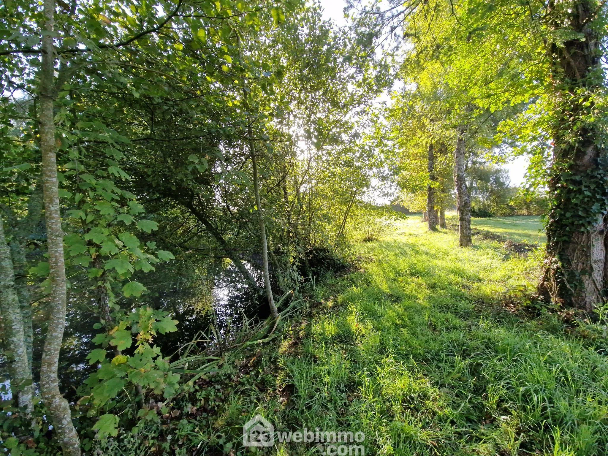 Beau terrain de loisirs avec étang à Nieul-le-Dolent, paisible environnement naturel 