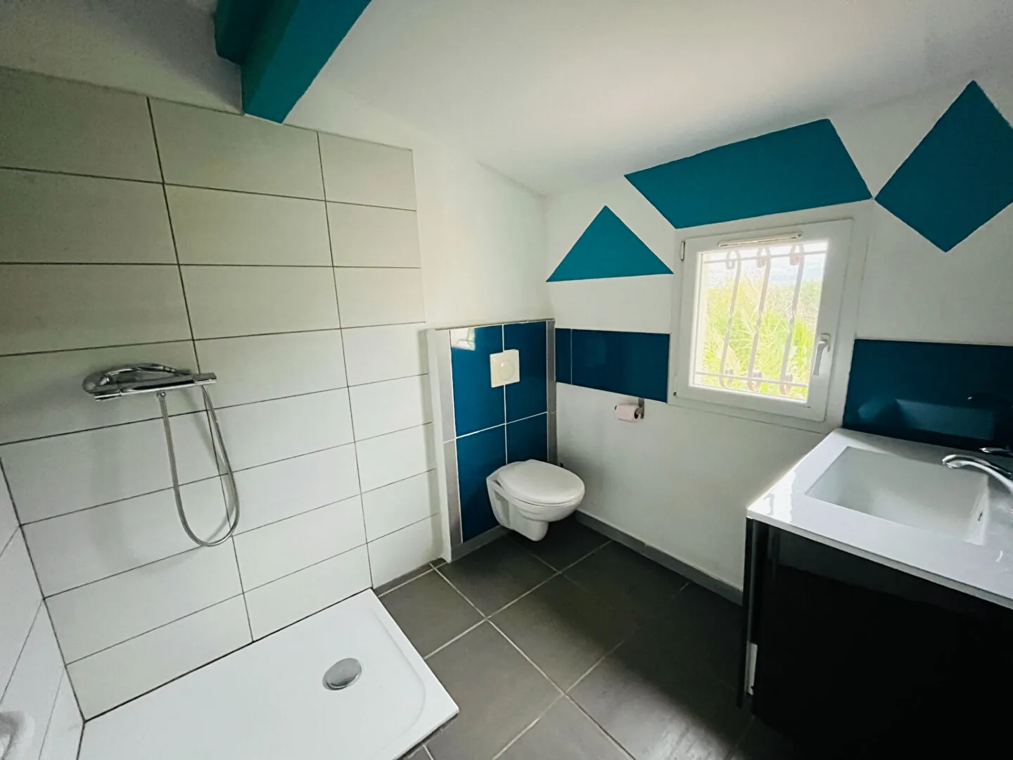 Belle villa récente avec piscine, jardin et 3 chambres à Charleval 