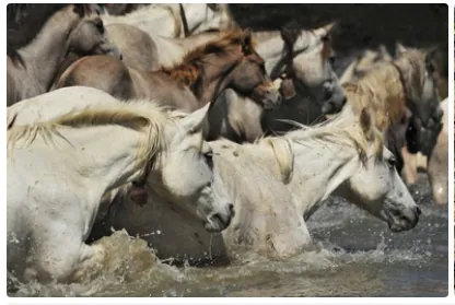 Très bel appartement T3 rénové à Sommières, prêt à habiter ou à investir 