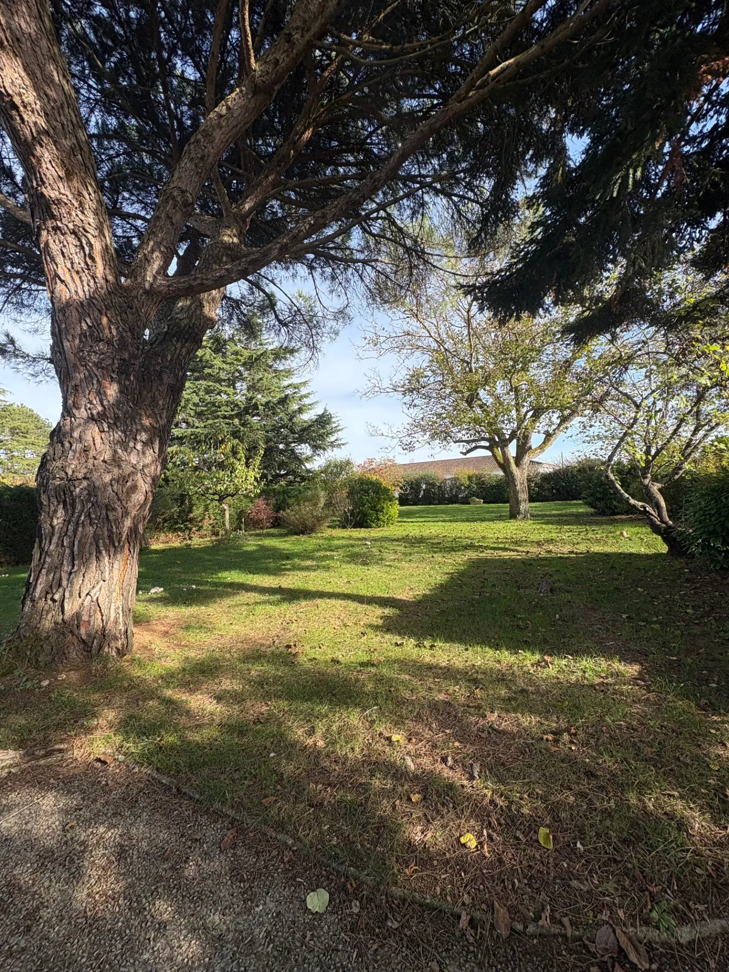 Maison de 4 chambres avec jardin arboré à Saint-Vite, Lot-et-Garonne 