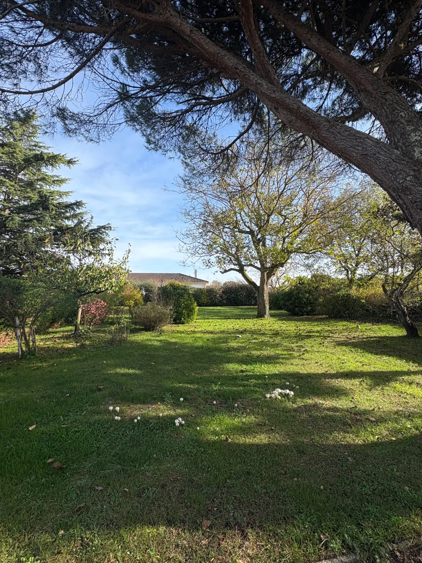 Maison de 4 chambres avec jardin arboré à Saint-Vite, Lot-et-Garonne 