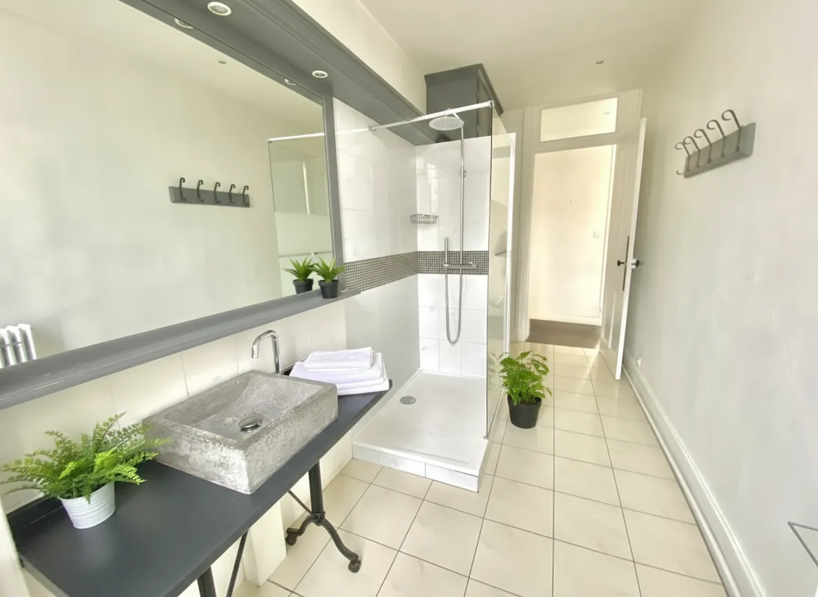 Appartement T3 rénové avec balcons et caves en plein centre d'Annonay 