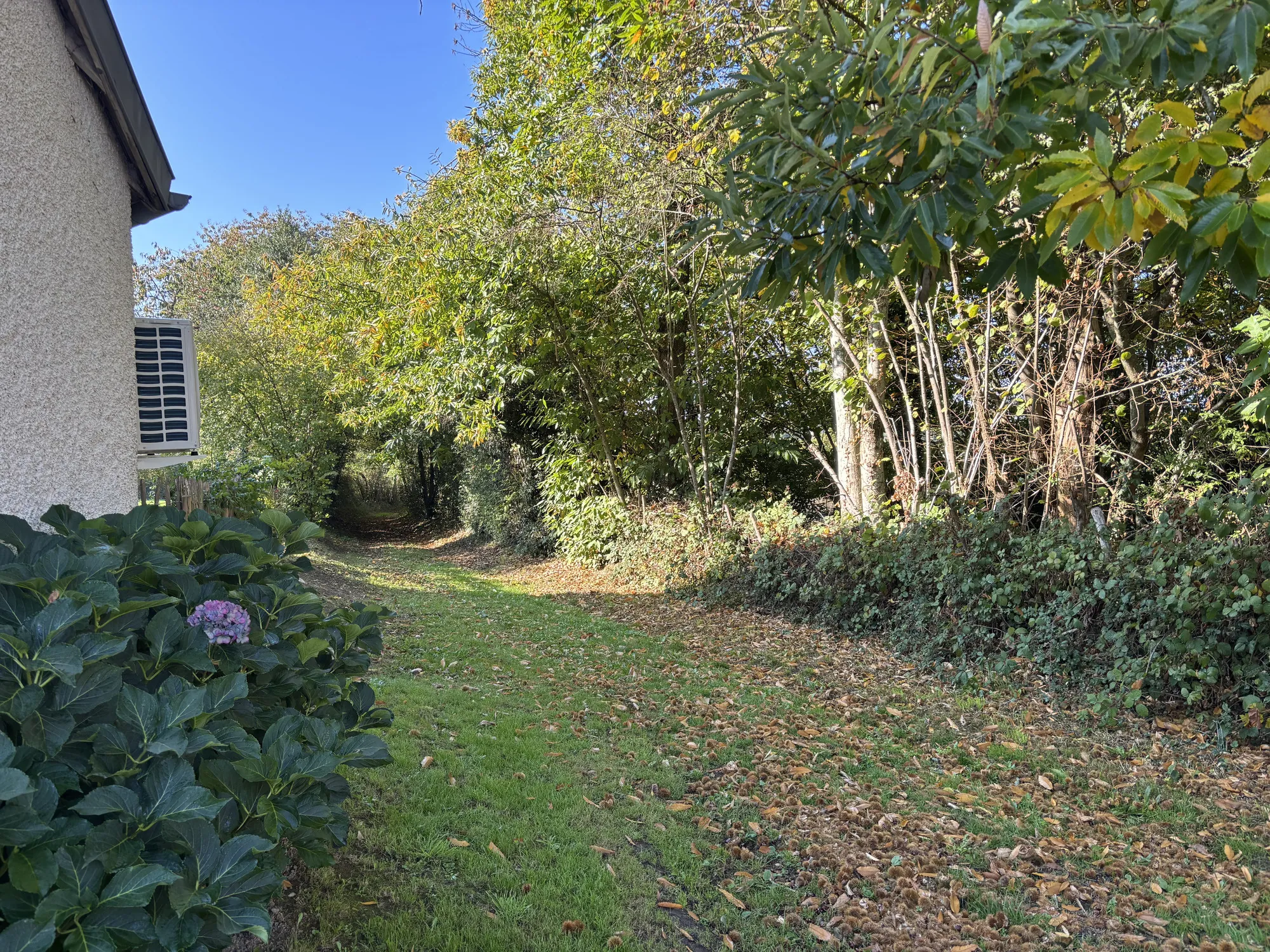 Maison rénovée avec grand terrain à Sazeray dans un cadre rural paisible 