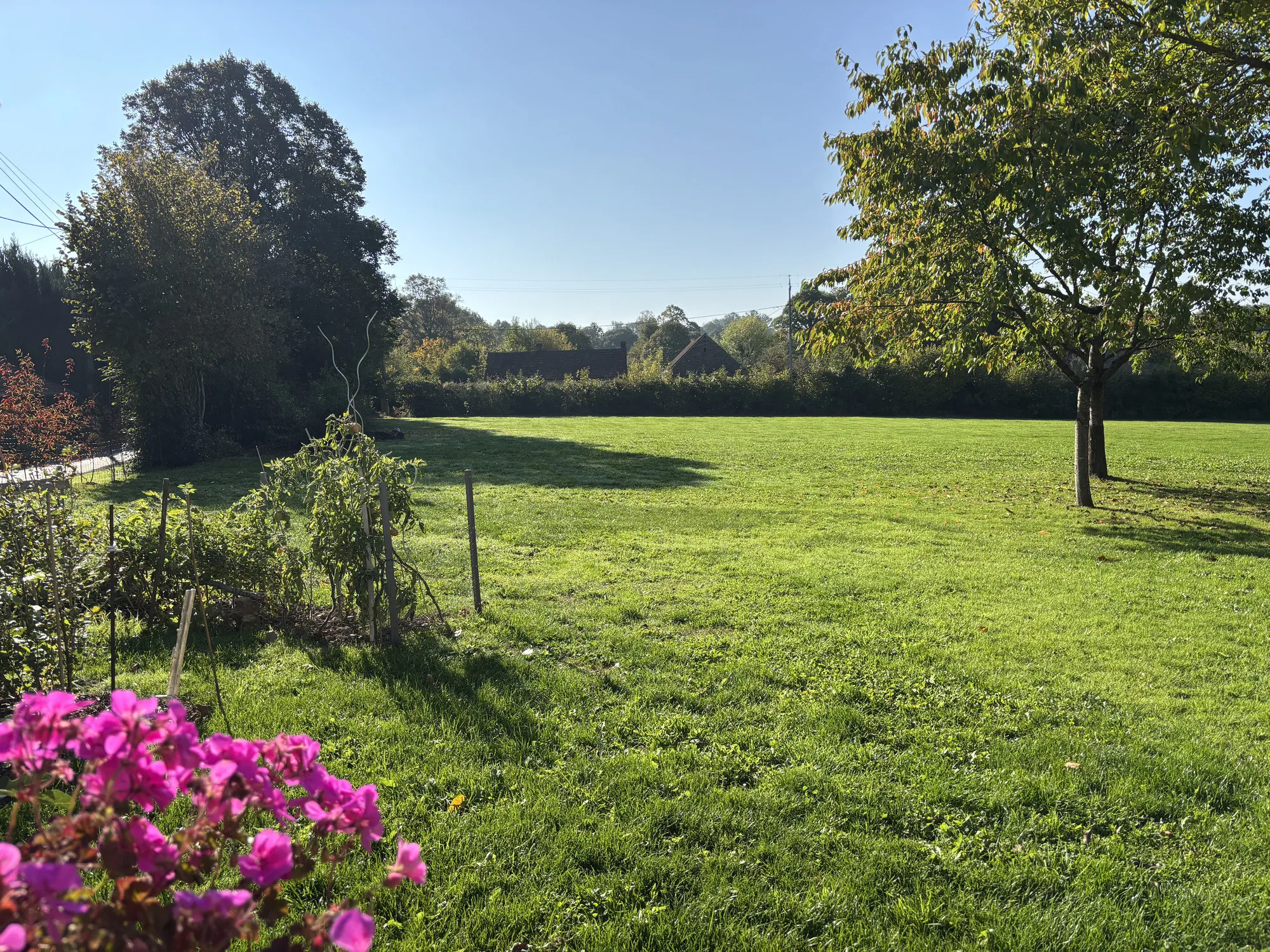 Maison rénovée avec grand terrain à Sazeray dans un cadre rural paisible 