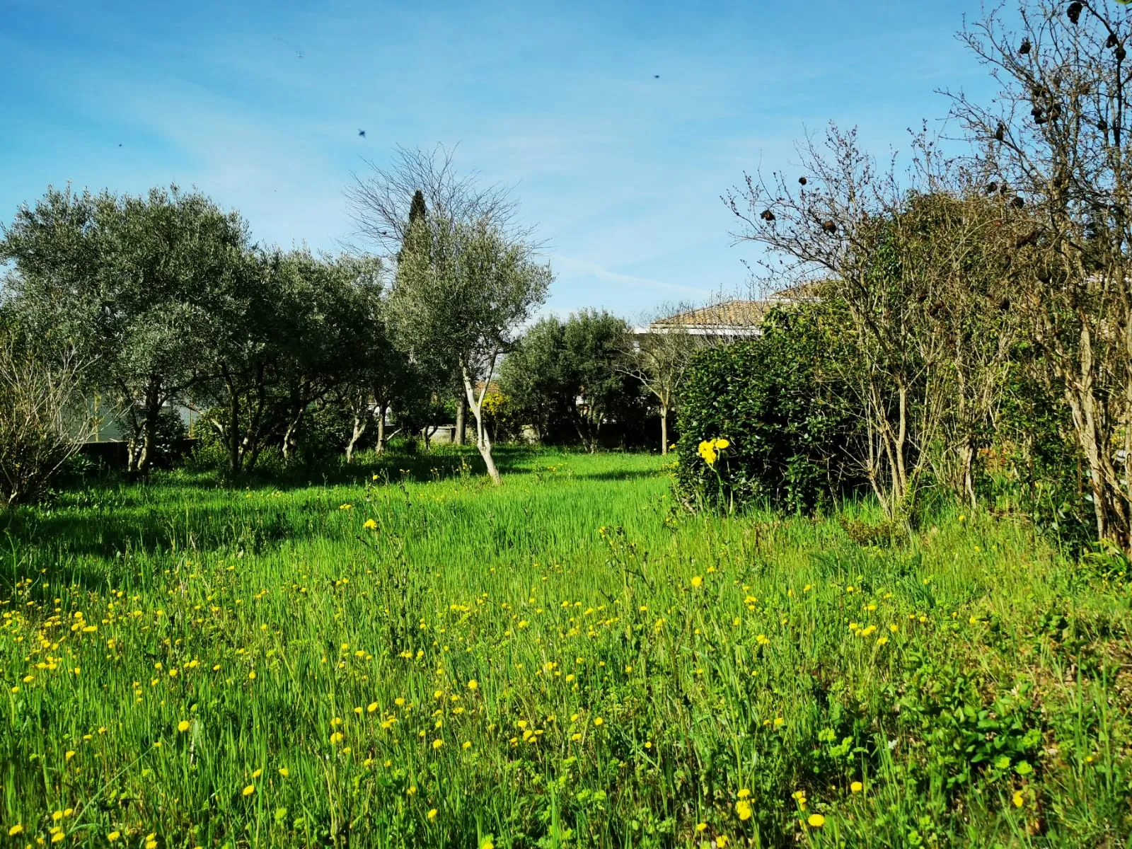 Terrain constructible de 655 m² à Coudoux au cœur du village