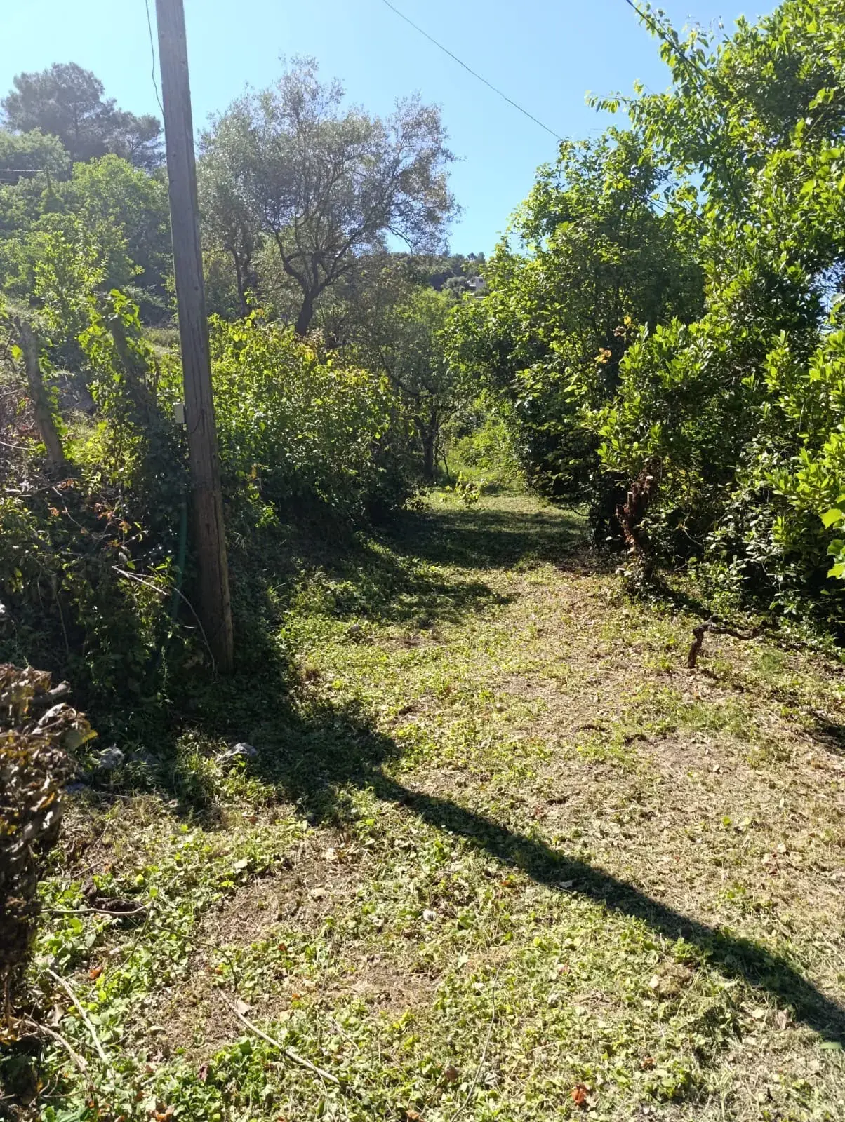 Maison bohème avec vue panoramique à Alès - Terrain de 3513 m², potentiel gîte, idéal pour vie sereine et projets nature 