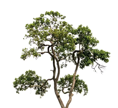 Appartement 2 pièces neuf à Vichy - Livraison 2027 avec parking et terrasse 