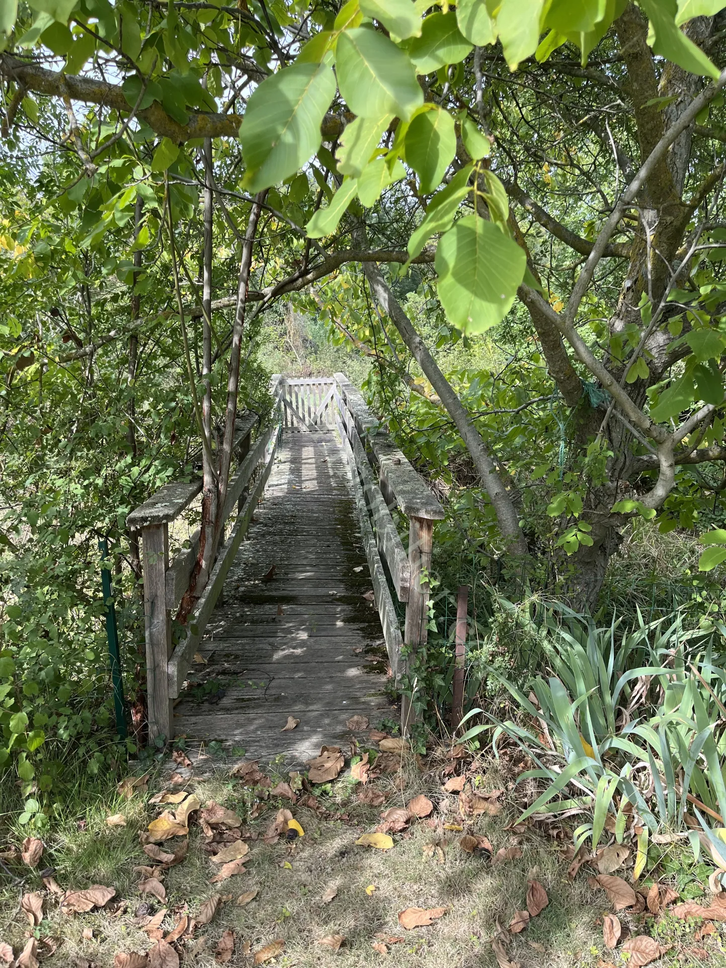 Villa de plain-pied avec jardin proche de Limoux - 2 chambres 