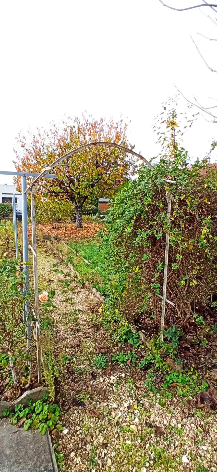 Charmante maison de 65 m² avec jardin à Saint-Florent-sur-Cher 