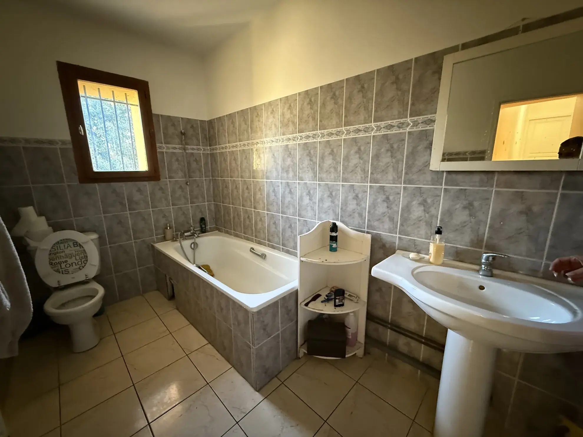 Appartement duplex T4 avec terrasse et jardin à Saint-Romain-en-Gal 