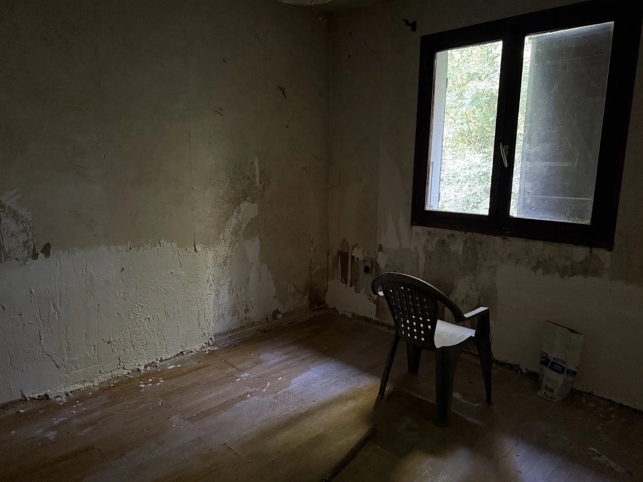 Maison à rénover avec grand terrain à Cour et Buis (38200) 