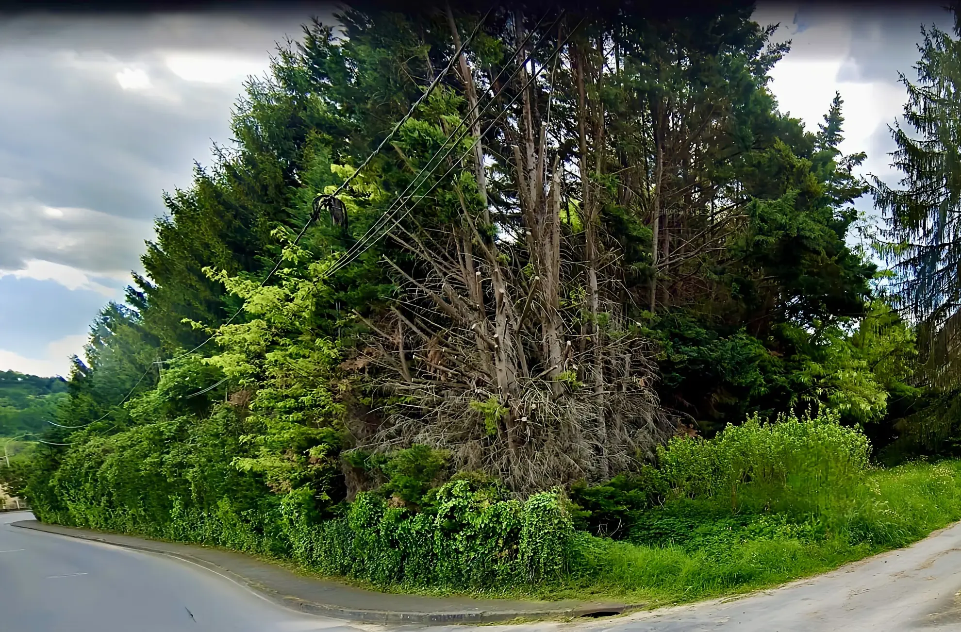 Terrain constructible idéal pour profession libérale à Sarlat en Périgord Noir 