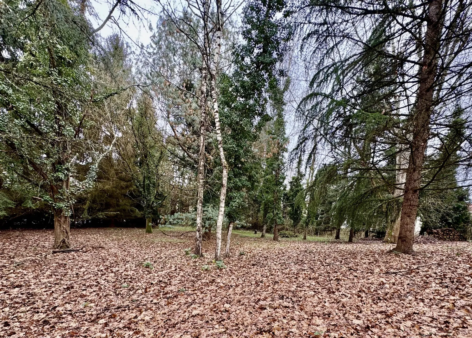 Terrain constructible à Sarlat pour profession libérale - Opportunité rare en Périgord Noir