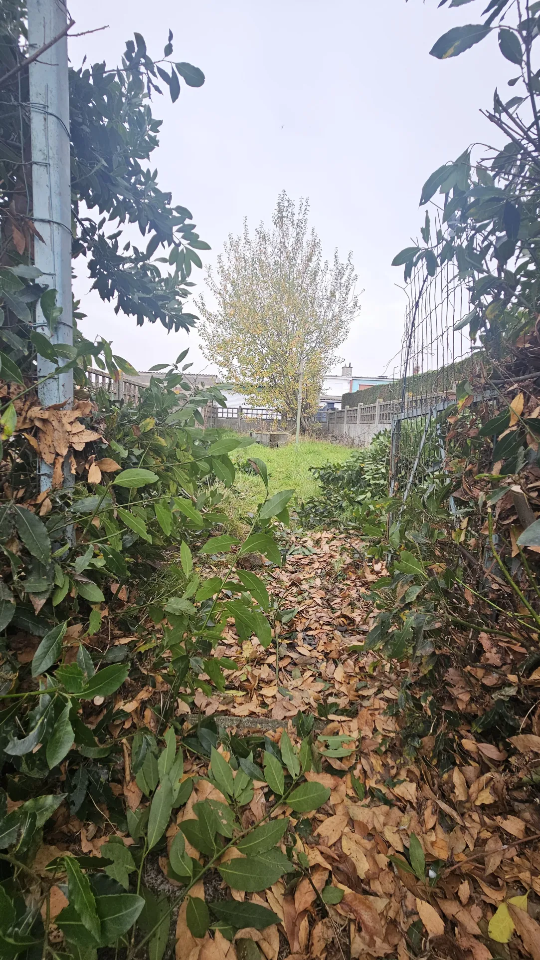 Maison à vendre à Beuvry - Semi-mitoyenne 1950 avec garage et jardin 