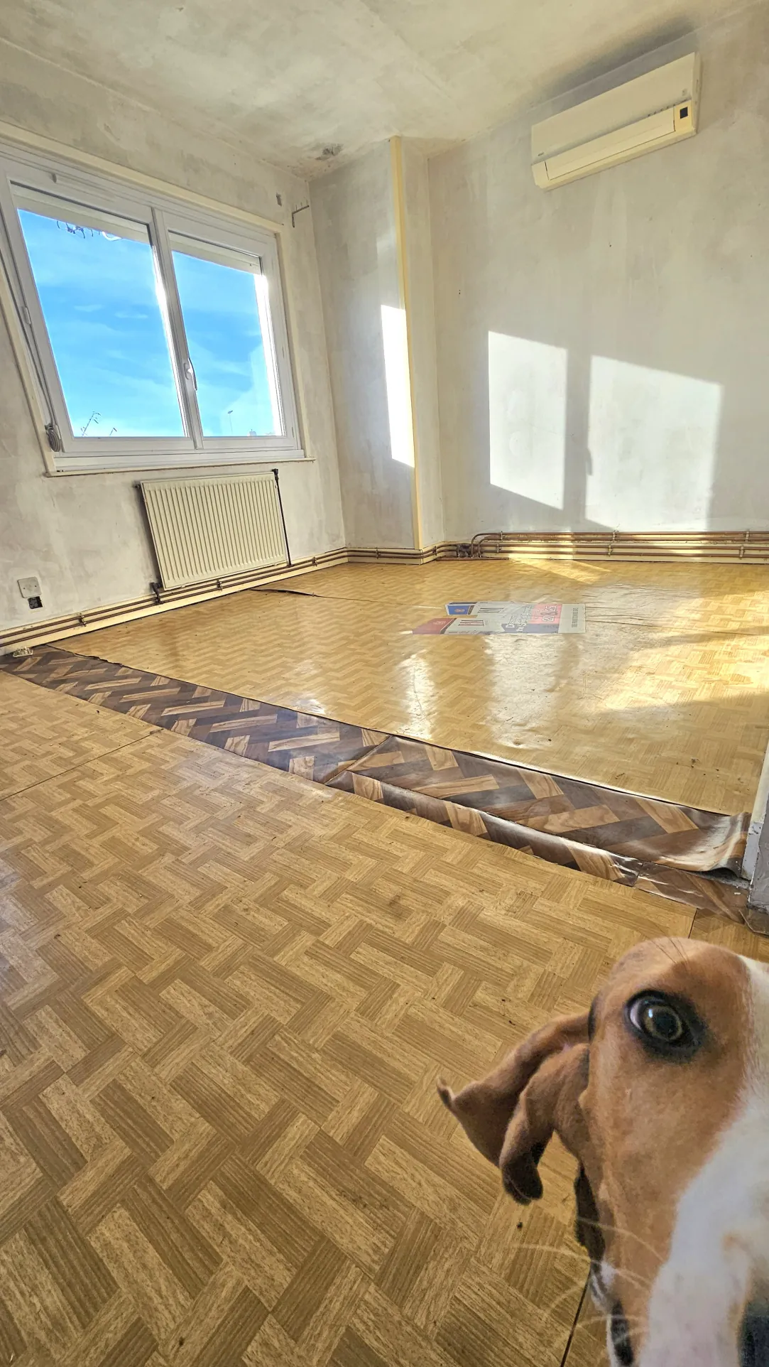 Maison à vendre à Beuvry - Semi-mitoyenne 1950 avec garage et jardin