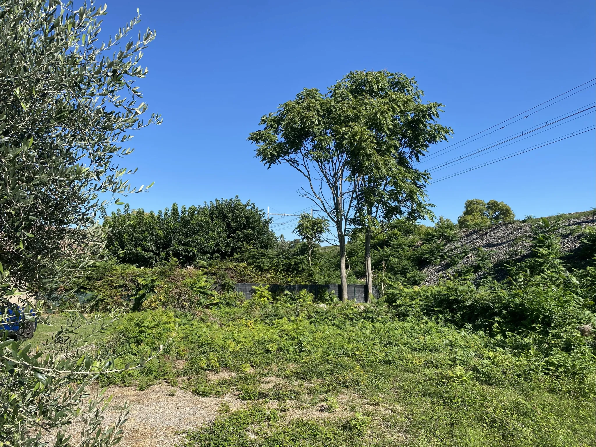 Terrain à bâtir de 250 m² à Tain l'Hermitage, secteur dynamique en zone UA