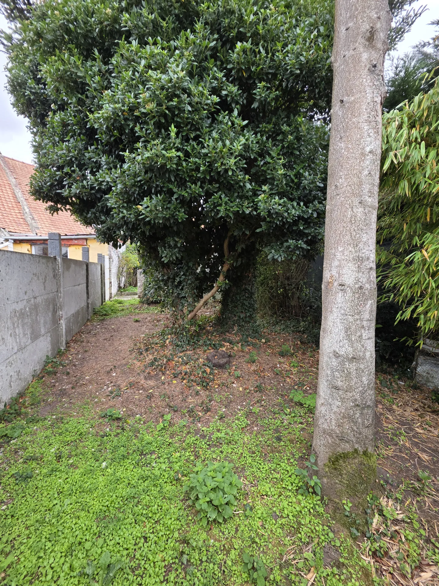 Maison mitoyenne de 96m² à Burbure avec jardin et potentiel d'agrandissement 