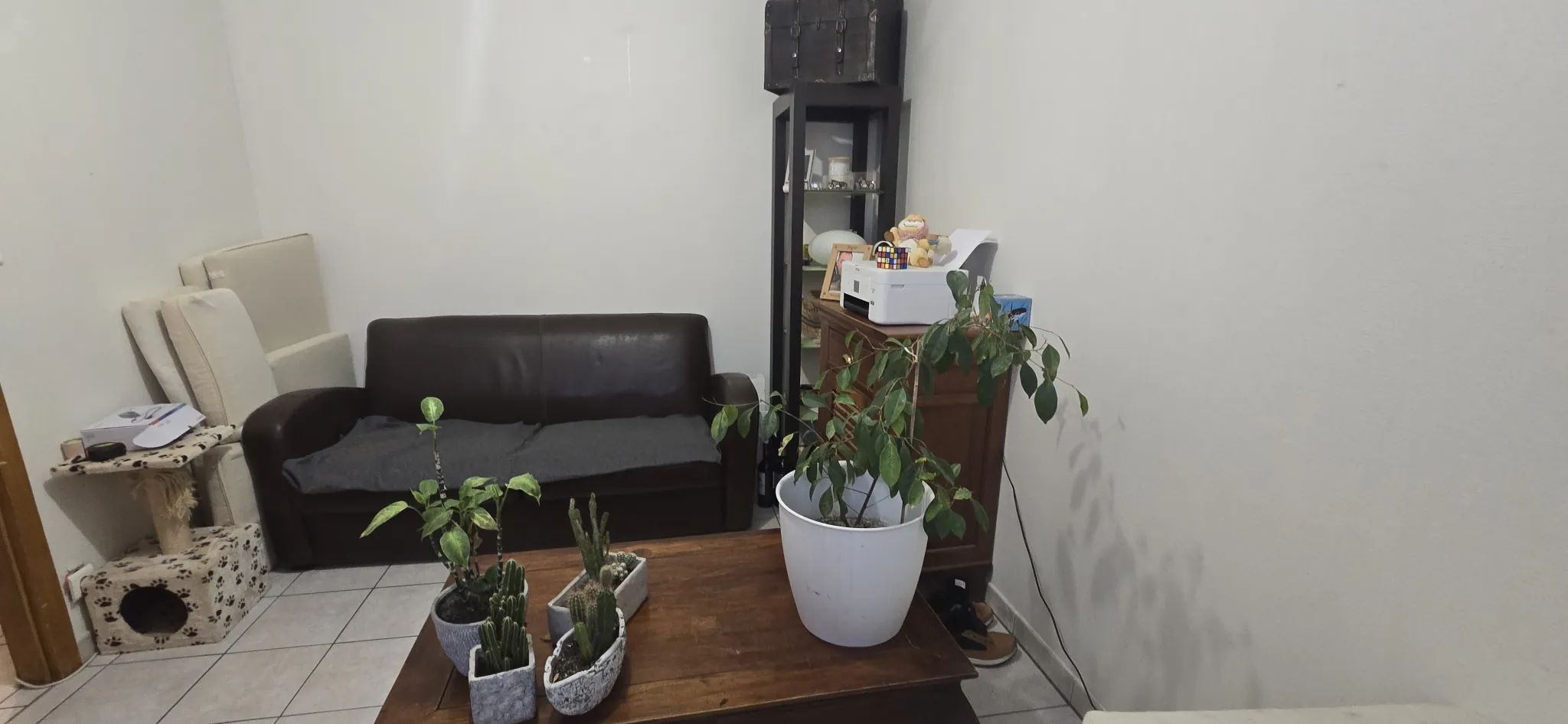 Très bel appartement en rez-de-jardin avec garage à Altkirch 