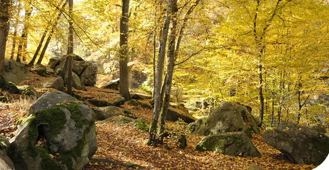 Appartement T2 neuf à Magnanville en résidence senior – Livraison 2025