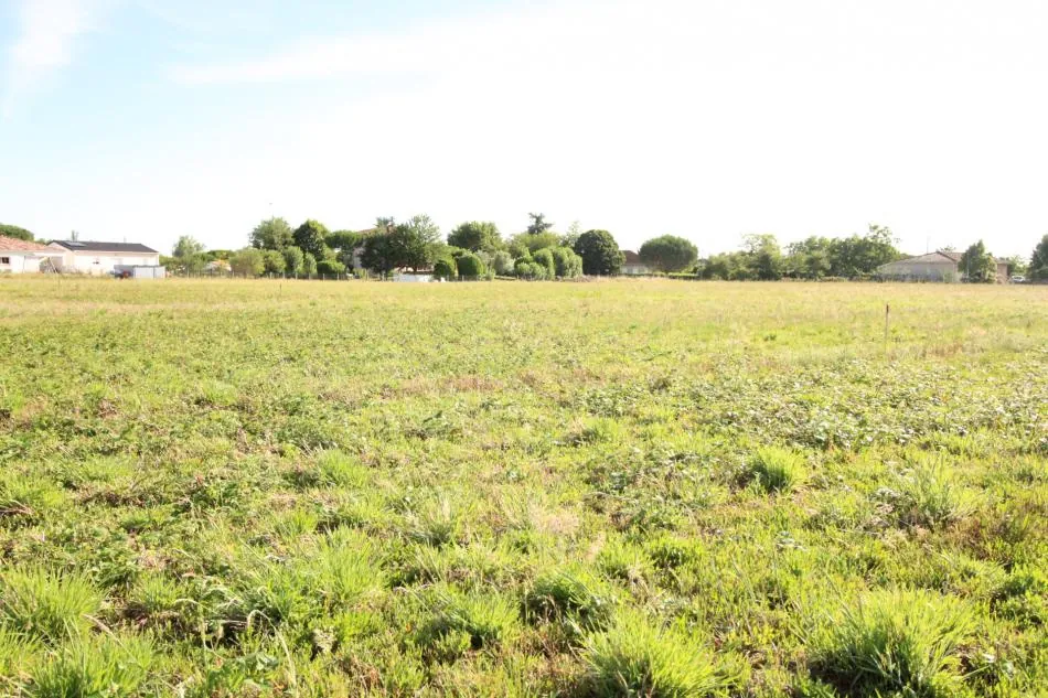 Terrain constructible à Negrepelisse de 622 m², viabilisé et prêt à construire