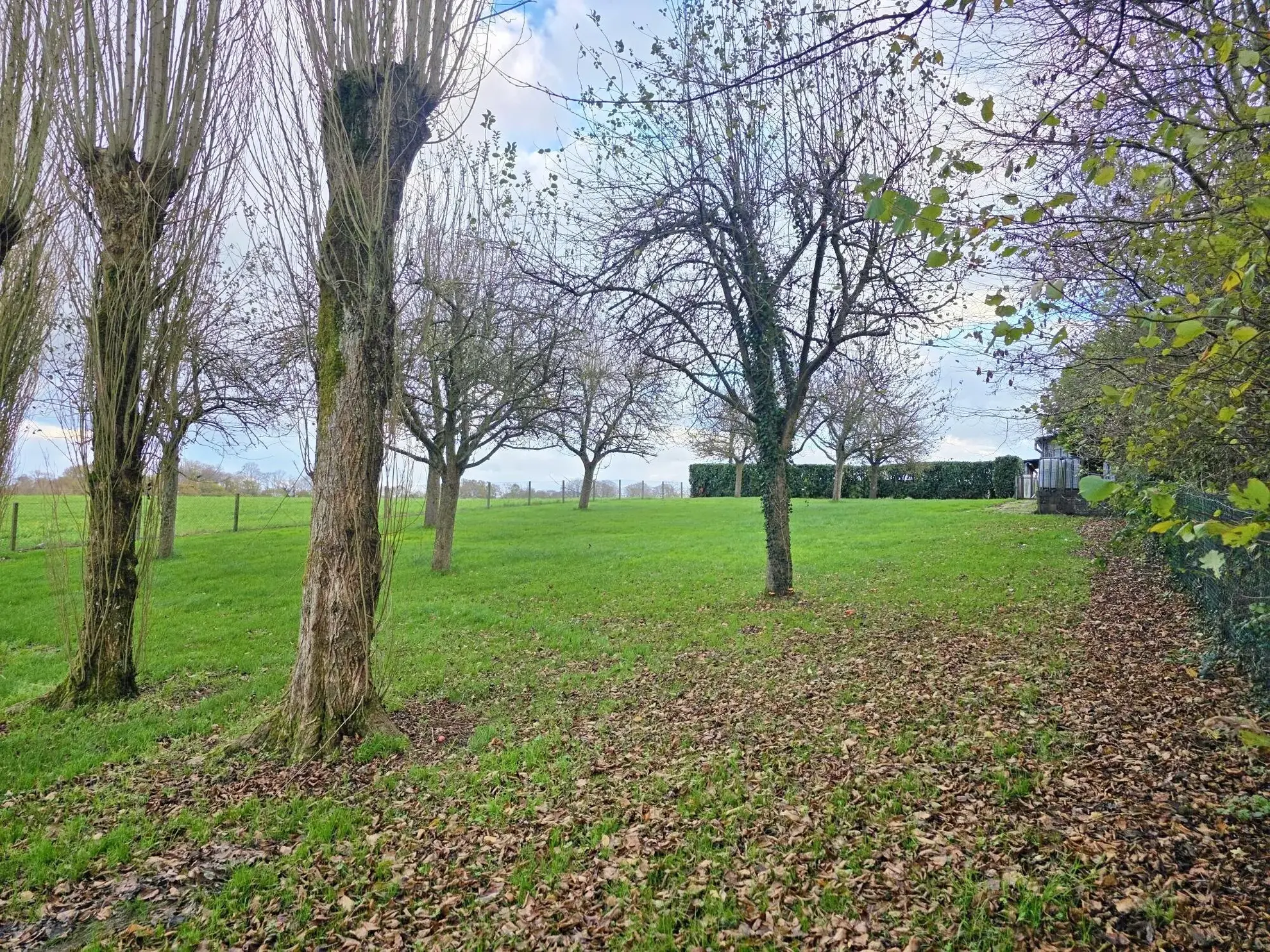 Longère à vendre près de Goderville avec grand terrain et dépendances 