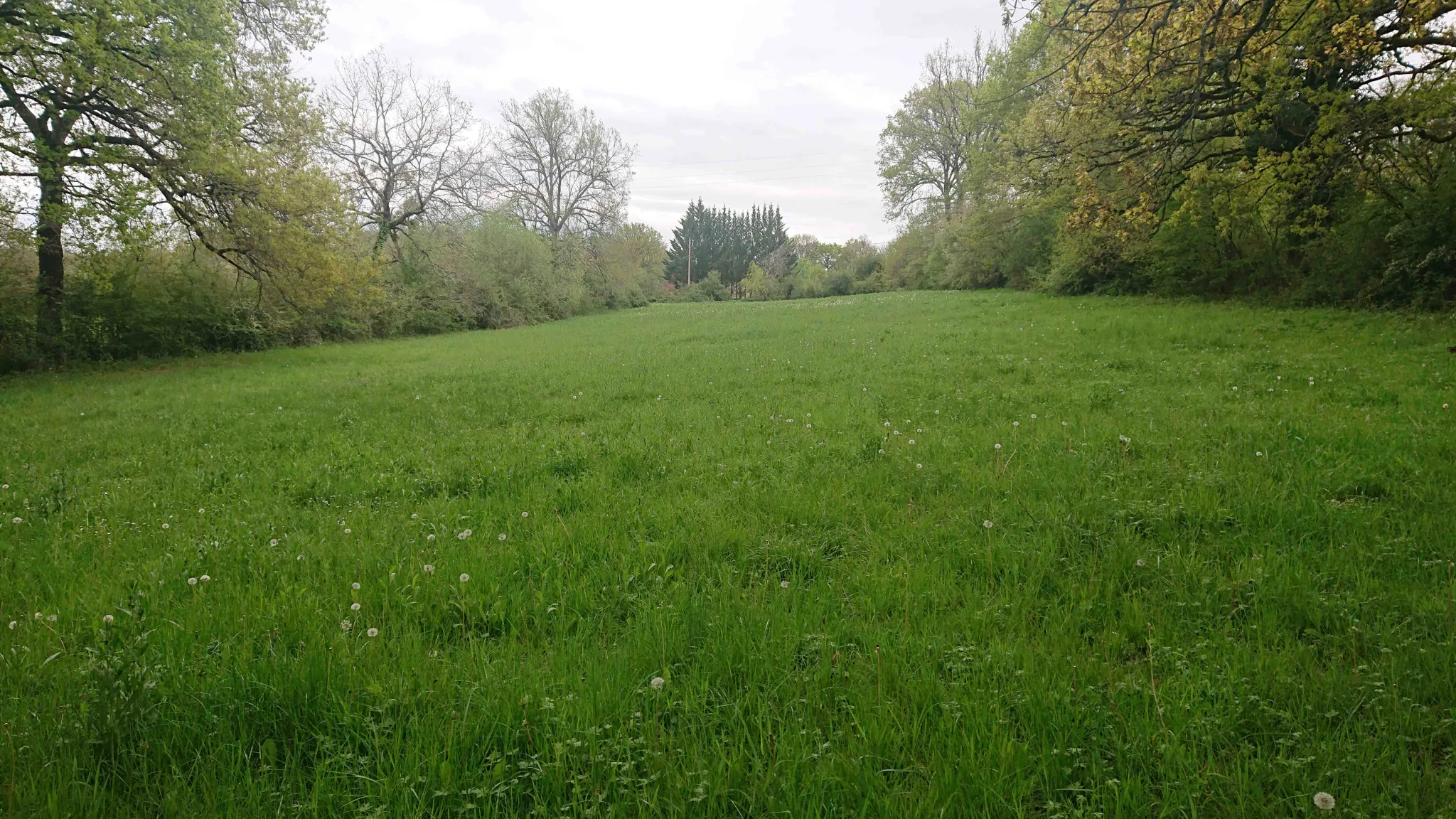 Terrain constructible de 9 381 m² à Puylagarde (82)