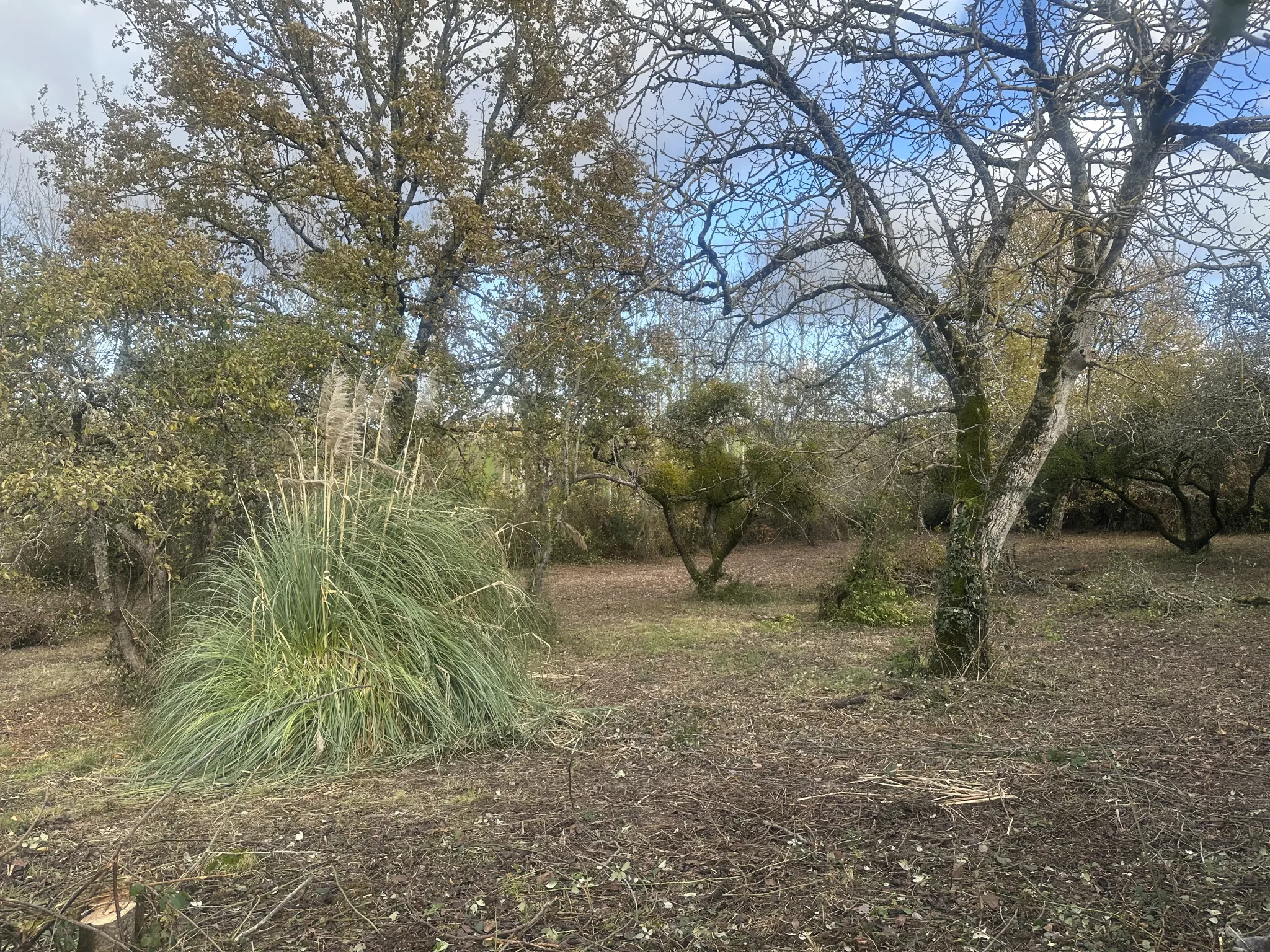 Maison en pierre à rénover avec grand terrain près de Marmande - Opportunité rare 