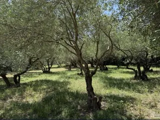 Terrain constructible de 930 m² à Sommieres - Mauvalat, secteur recherché