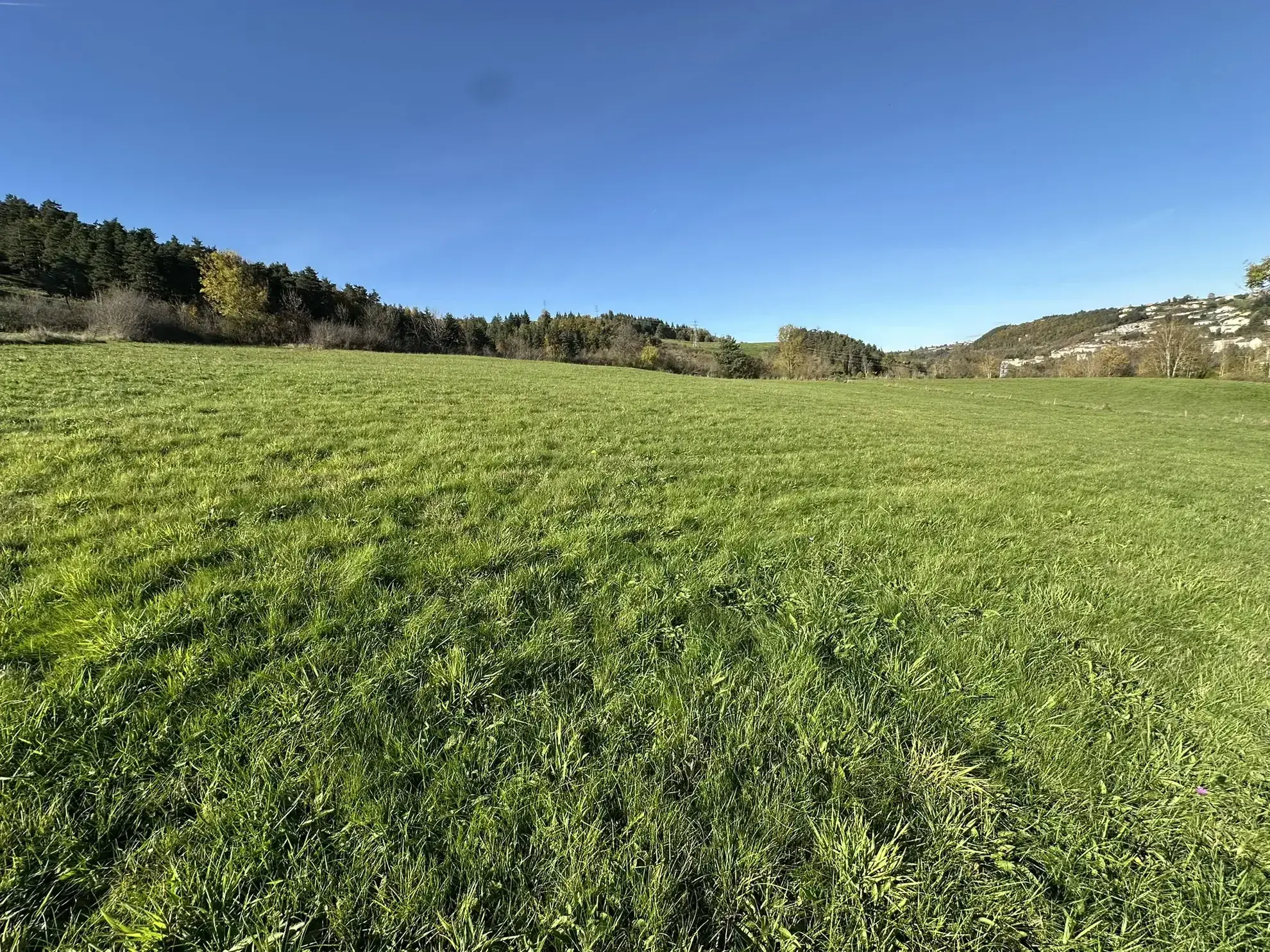 Terrain constructible de 7957 m² à Pont Salomon, environnement calme et connexion facile aux axes principaux