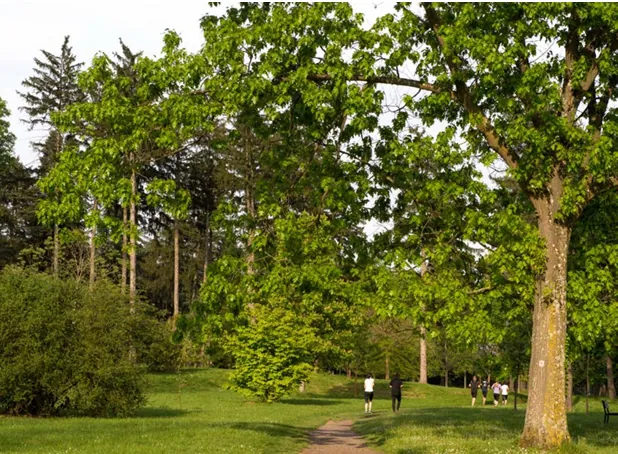 Bel appartement 2 pièces neuf à Vichy avec terrasse et parking - Livraison 2027 