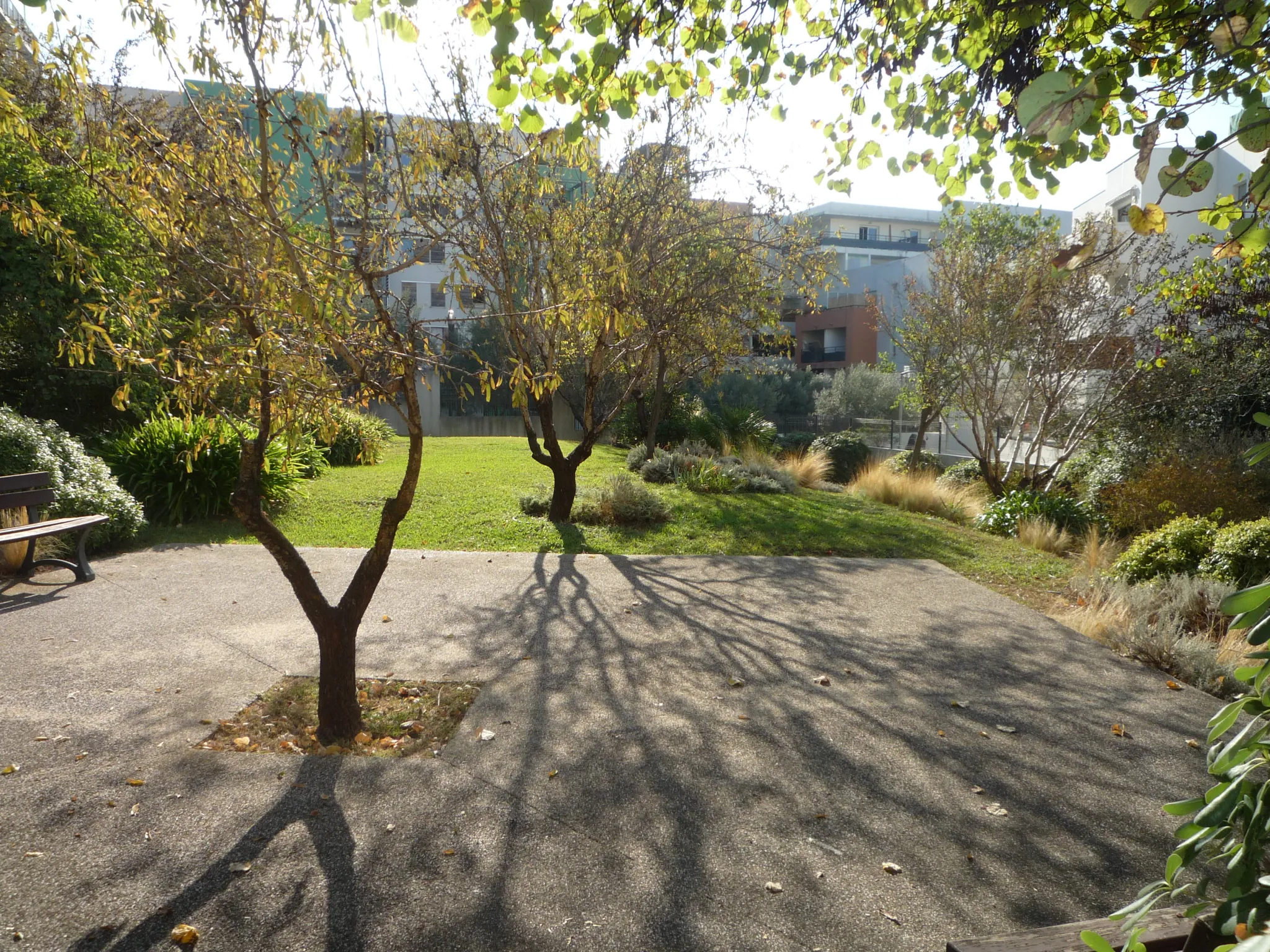 Appartement 3 pièces à vendre à Montpellier centre avec terrasse et garage sécurisé 