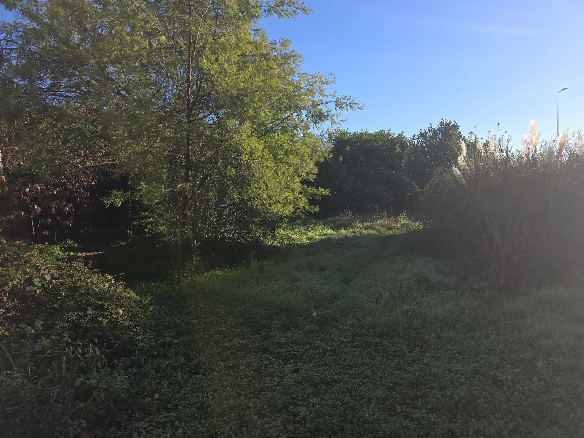 Appartement 3 pièces avec mezzanine à Narbonne, vue dégagée et emplacement idéal 