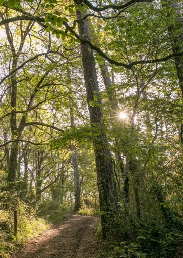 Appartement 4 pièces à Castets (40260) dernier étage livré en 2026-2027 à vendre 