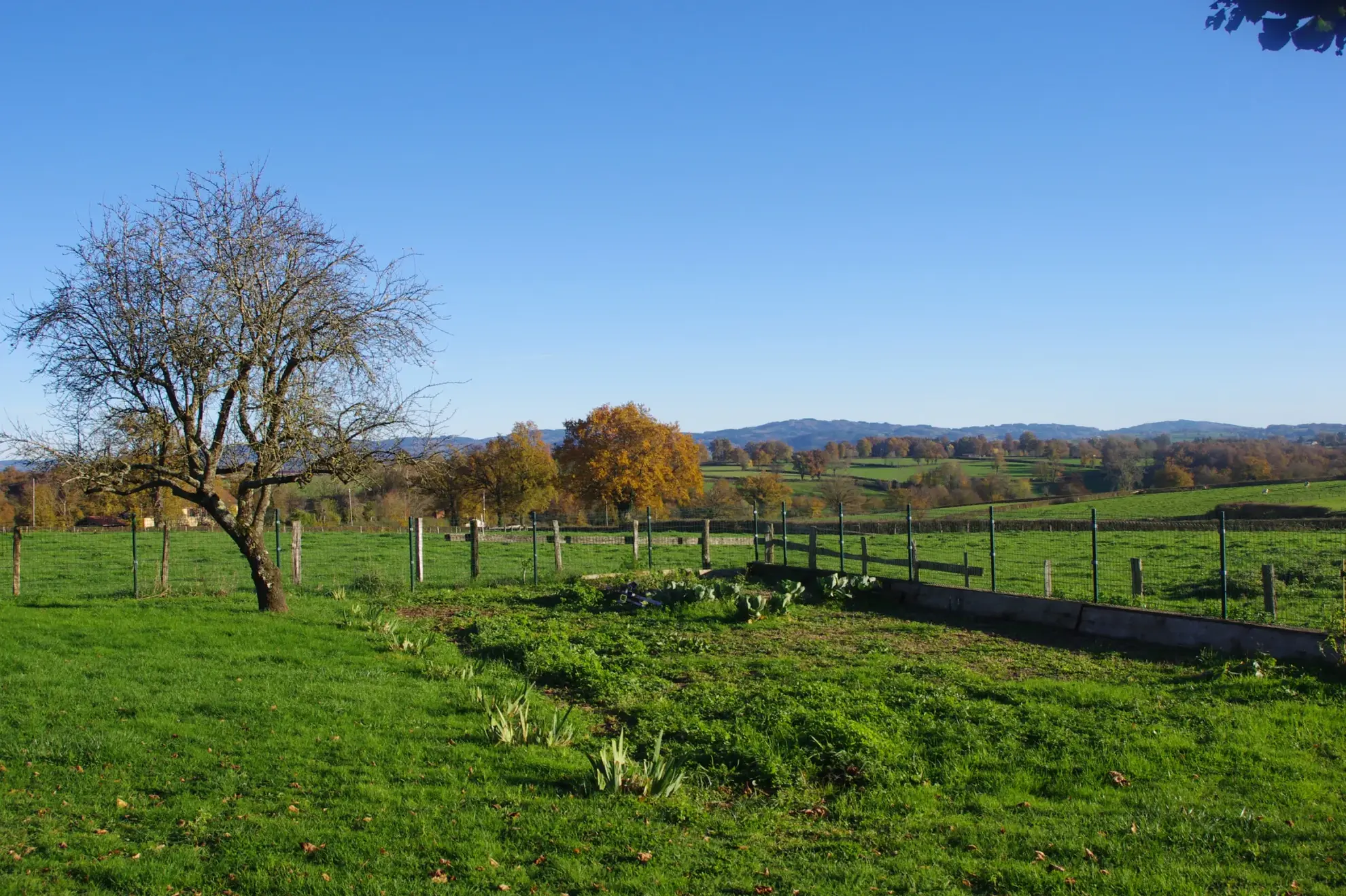 Fermette 3 chambres avec jardin à proximité de Charlieu 
