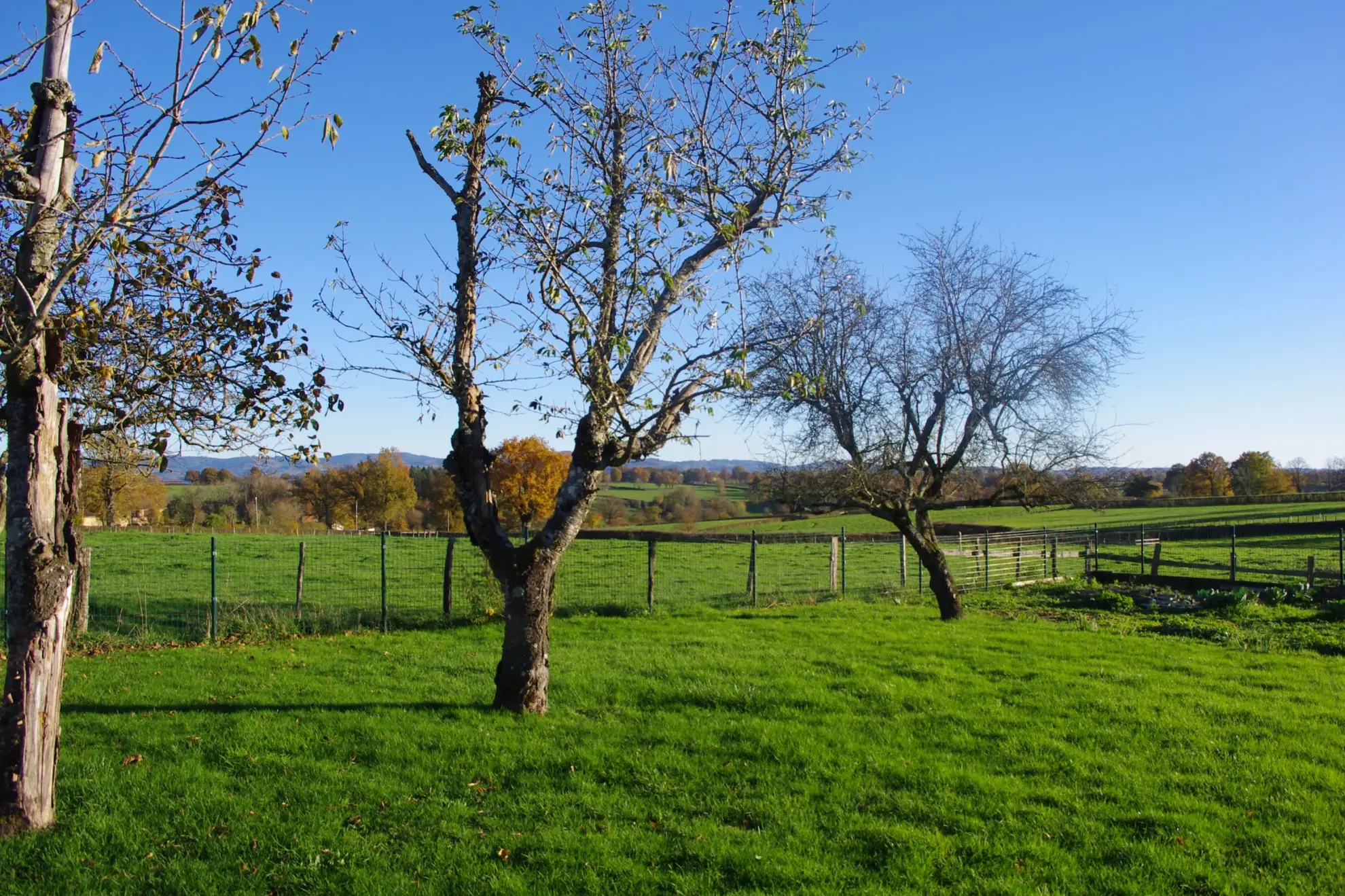 Fermette 3 chambres avec jardin à proximité de Charlieu 