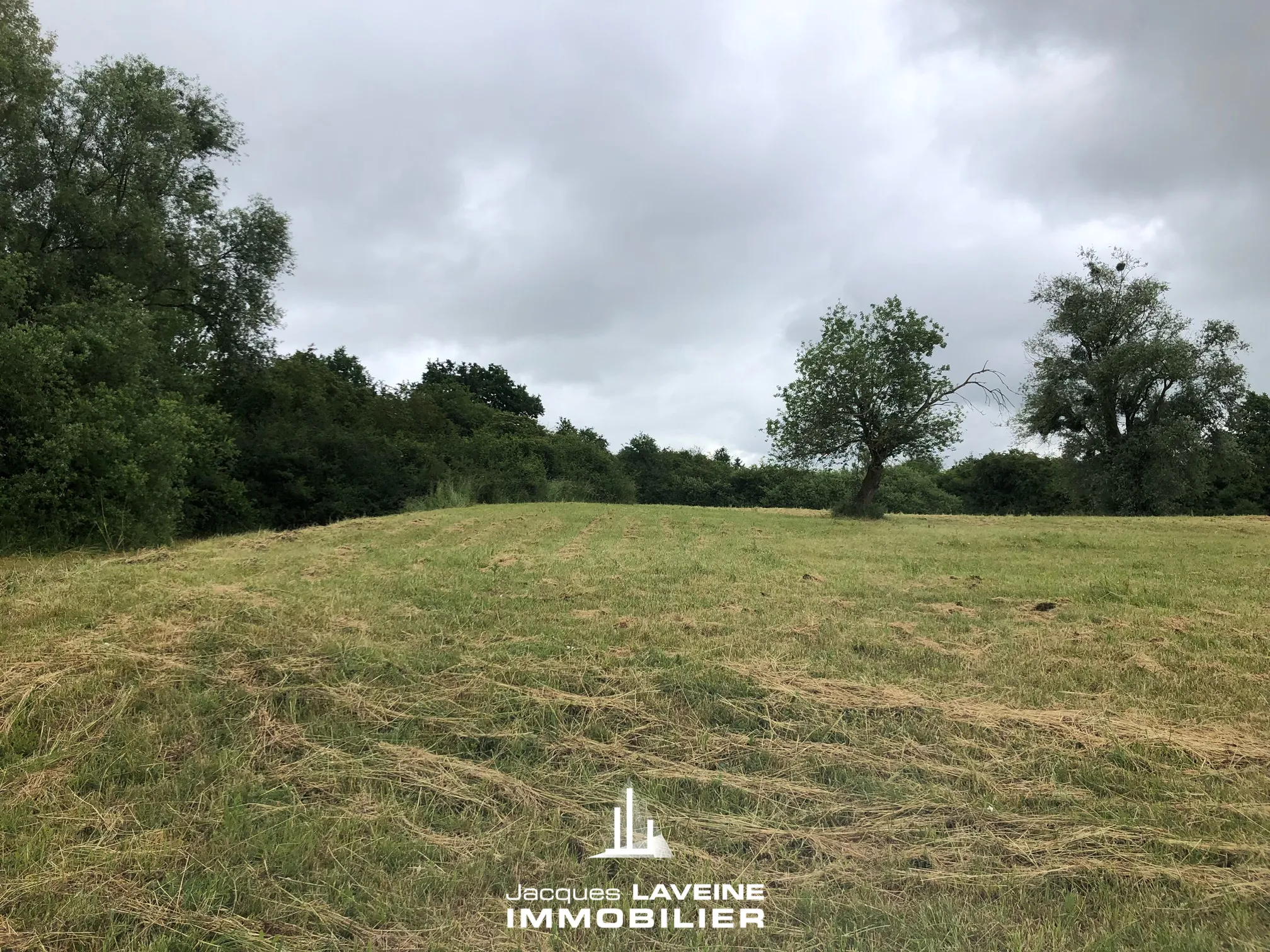 Terrain de loisir de 80 ares à Marly – Zone naturelle et proximité centre-ville 