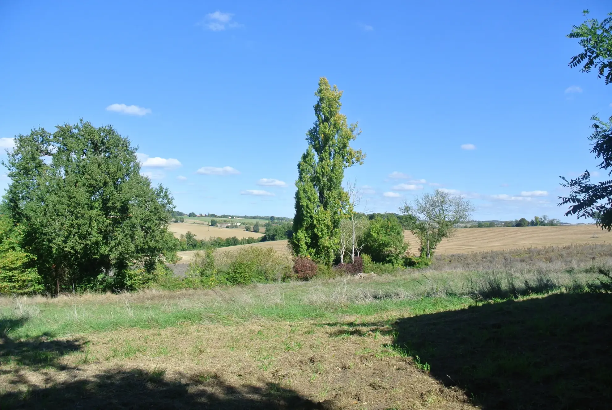 Propriété à rénover avec terrain à Mauvezin sur Gupie - 2,7 hectares 