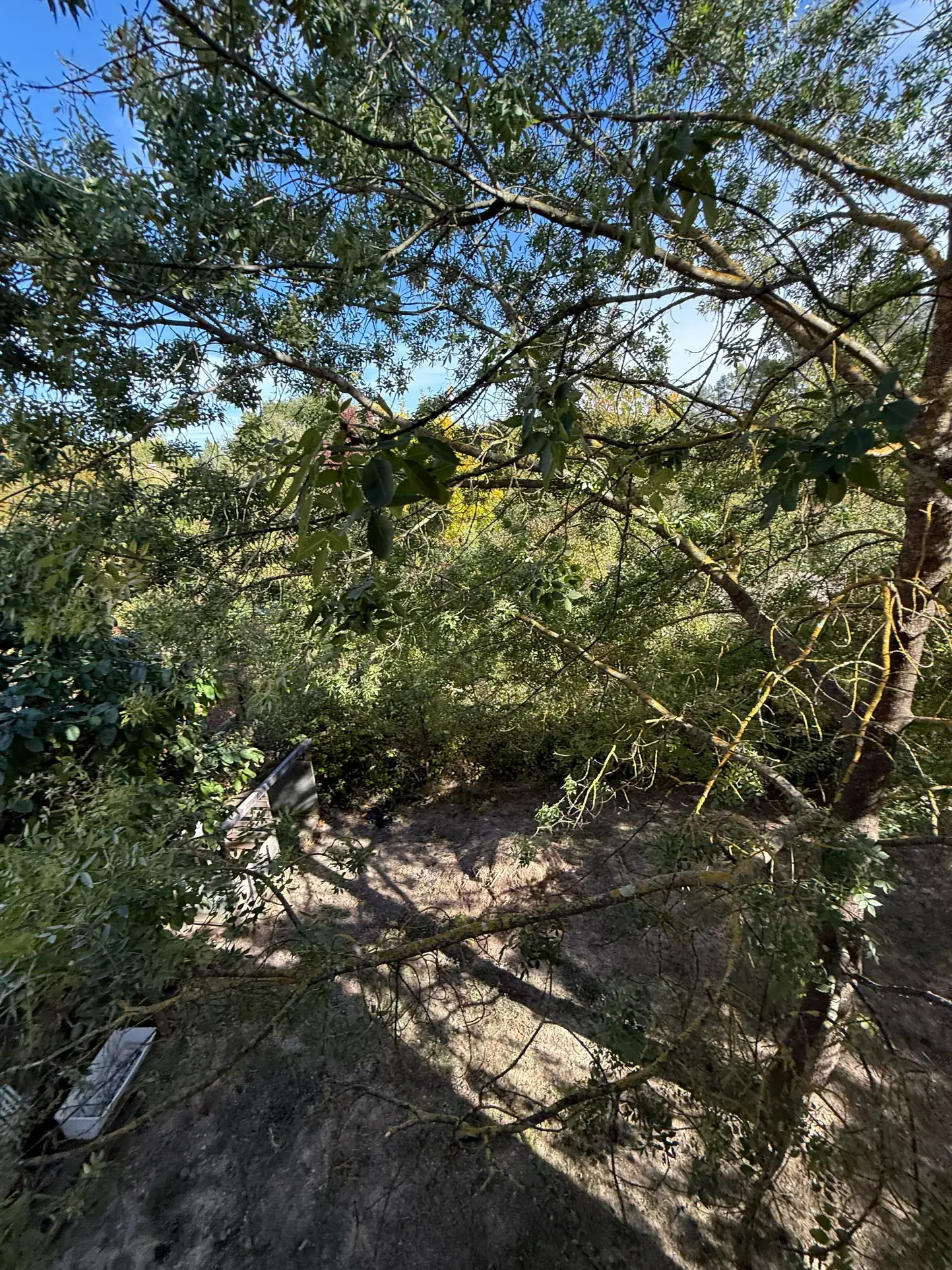 Villa moderne 2010 avec jardin sud et garage à Boisset et Gaujac 