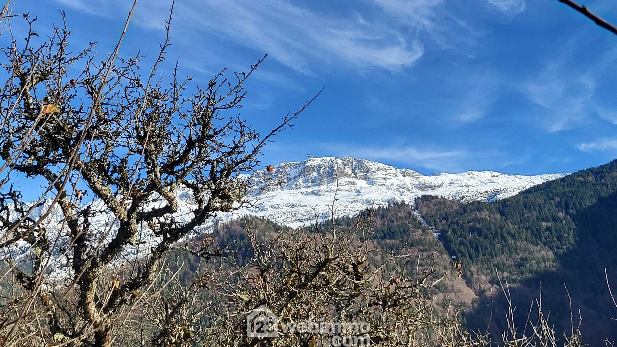 Terrain constructible de 890 m² à Allemond, vue sur les montagnes 