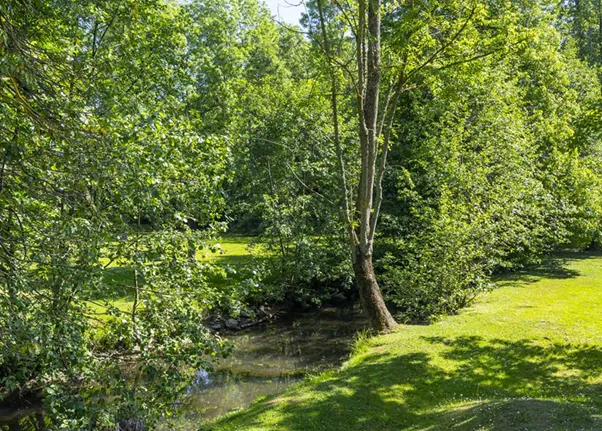 Appartement neuf T3 à Tournan-en-Brie avec remise exceptionnelle en 2025