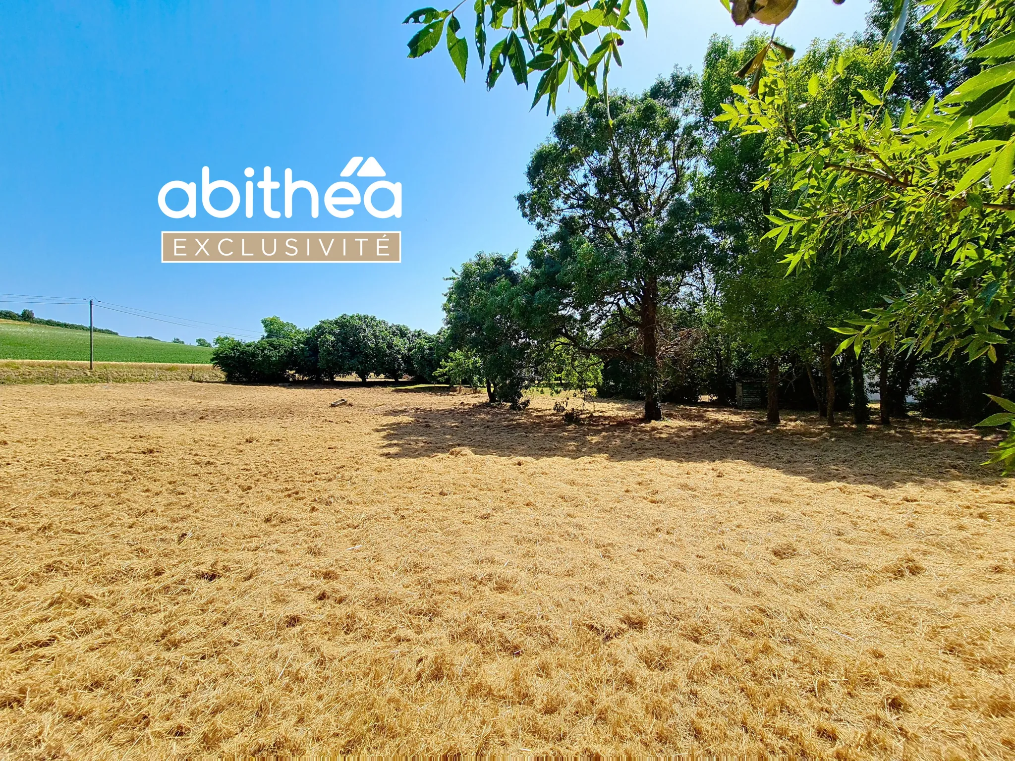 Terrain constructible de 2231 m² à Floirac - Secteur calme & proche commodités